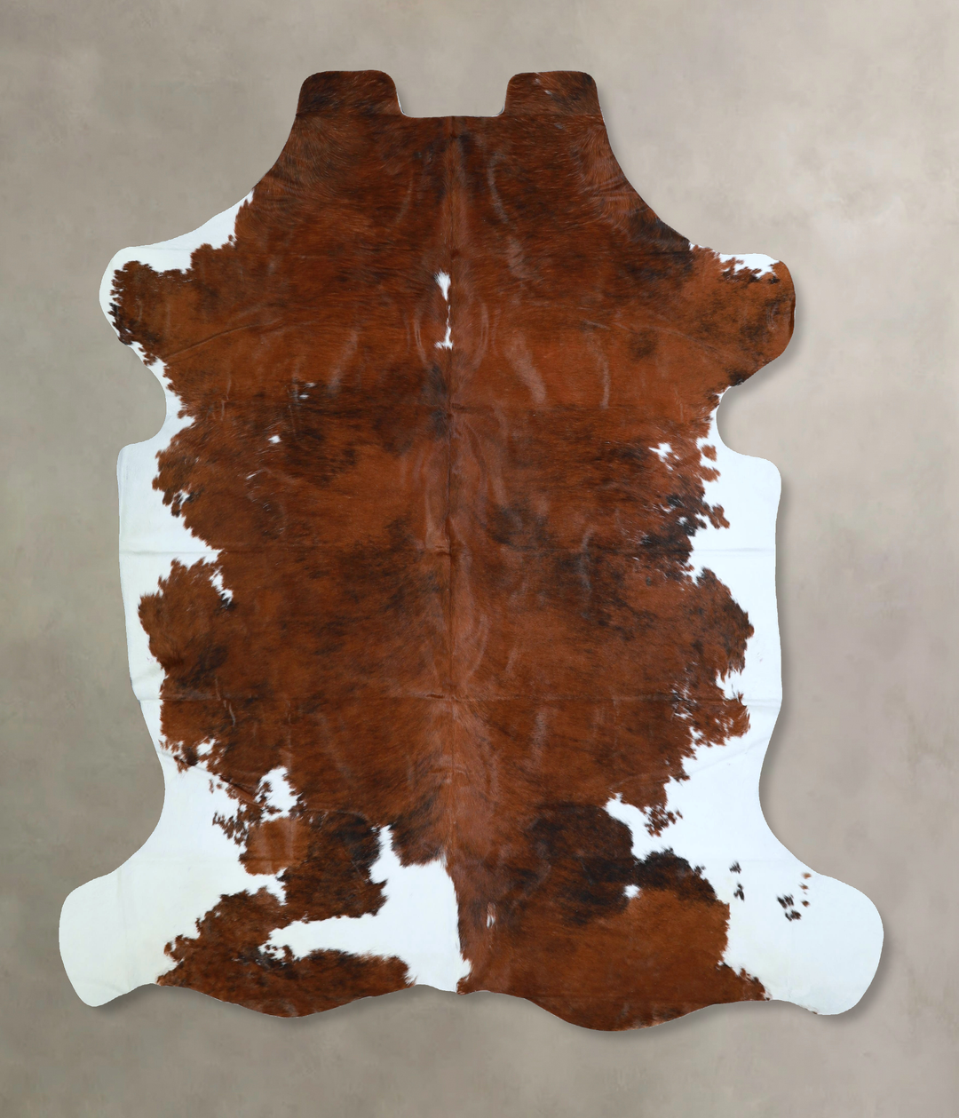 Tricolor X-Large European Cowhide Rug 6'11"H x 6'9"W #A41870 by Hudson