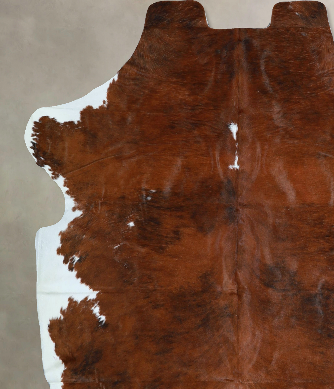 Tricolor X-Large European Cowhide Rug 6'11"H x 6'9"W #A41870 by Hudson
