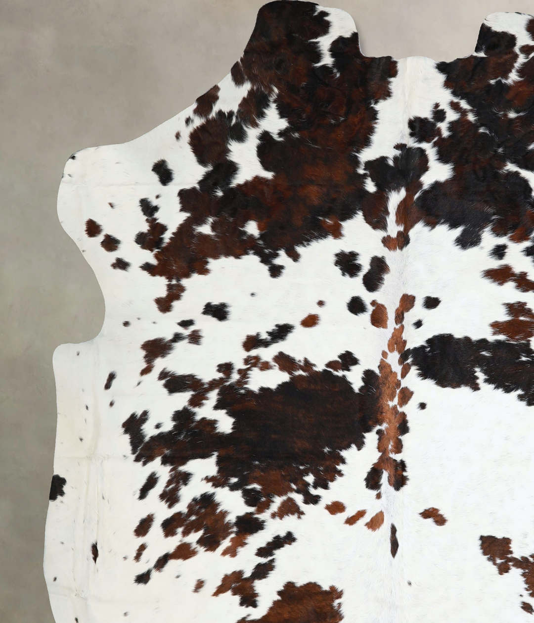 Tricolor XX-Large European Cowhide Rug 7'8"H x 7'1"W #A41873 by Hudson