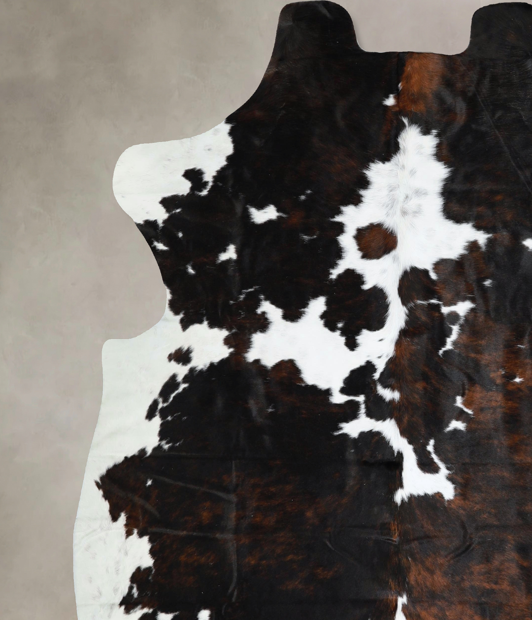 Tricolor X-Large European Cowhide Rug 7'2"H x 6'8"W #A41876 by Hudson 