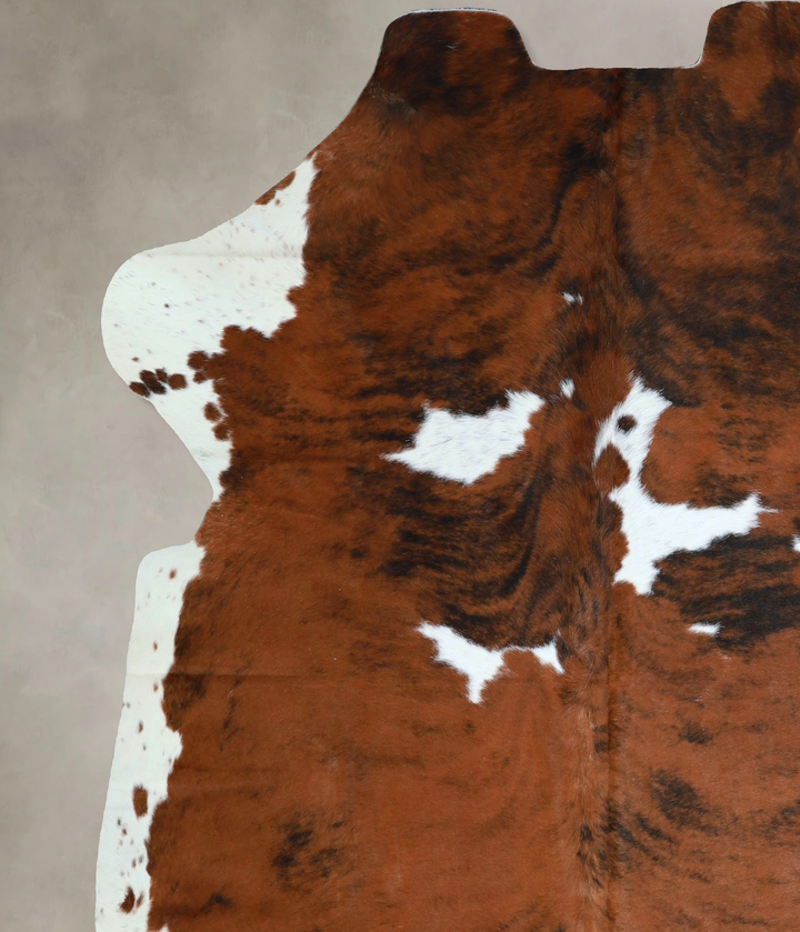 Tricolor X-Large European Cowhide Rug 6'10"H x 6'1"W #A41881 by Hudson Hides