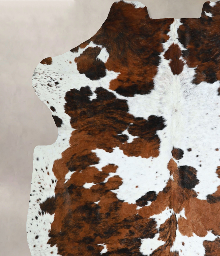 Tricolor X-Large European Cowhide Rug 6'10"H x 6'1"W #A41884 by Hudson Hides