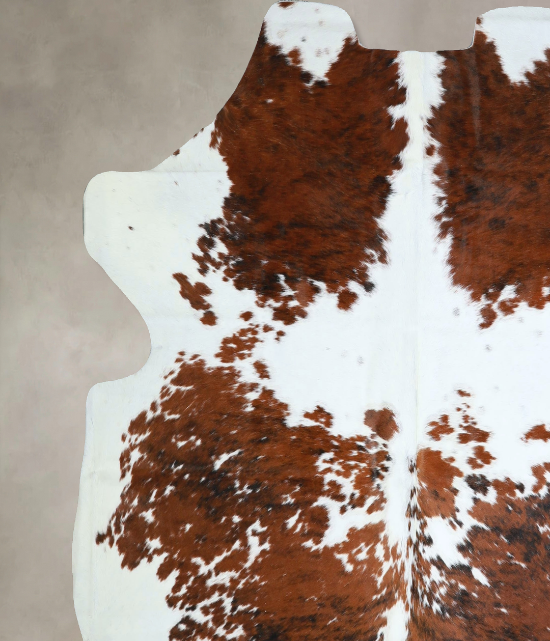 Tricolor X-Large European Cowhide Rug 6'9"H x 6'10"W #A41885 by Hudson