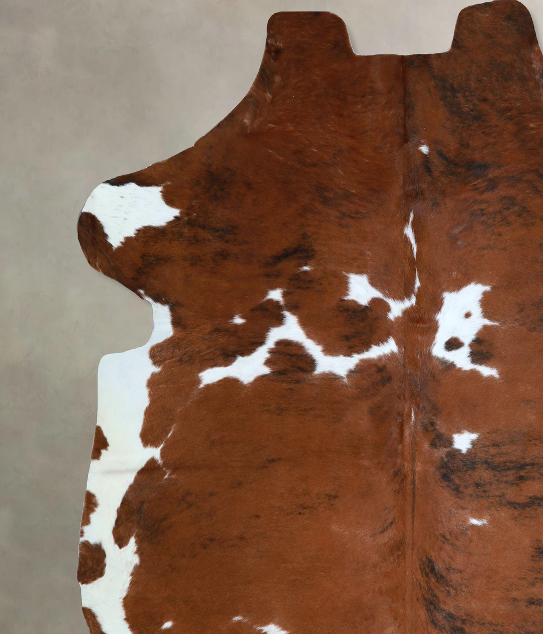 Tricolor X-Large European Cowhide Rug 6'11"H x 6'5"W #A41889 by Hudson
