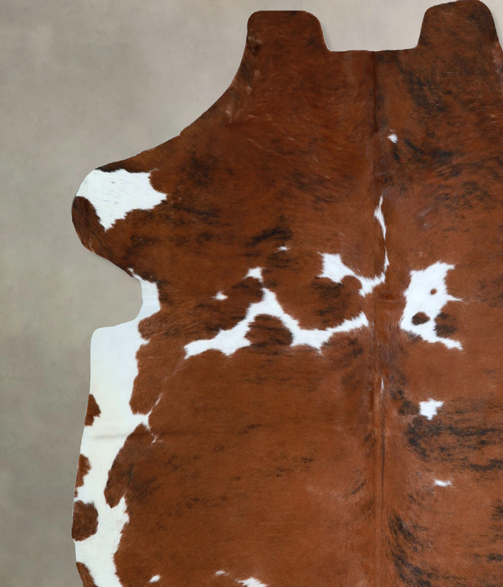 Tricolor X-Large European Cowhide Rug 6'11"H x 6'5"W #A41889 by Hudson Hides
