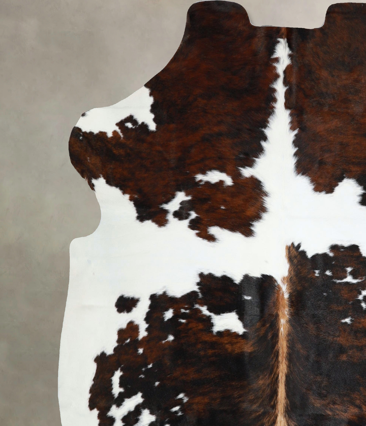 Tricolor X-Large European Cowhide Rug 6'7"H x 6'1"W #A41890 by Hudson Hides