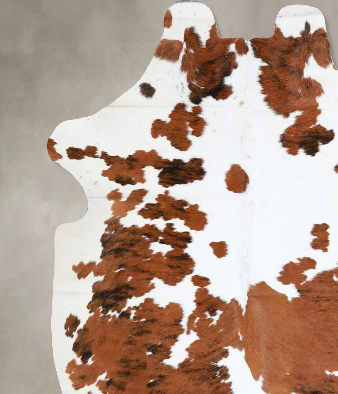 Tricolor Large European Cowhide Rug 5'9"H x 5'6"W #A41893 by Hudson Hi