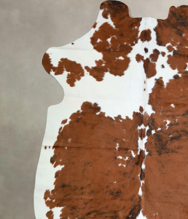 Tricolor Large European Cowhide Rug 6'4"H x 6'1"W #A41895 by Hudson Hides