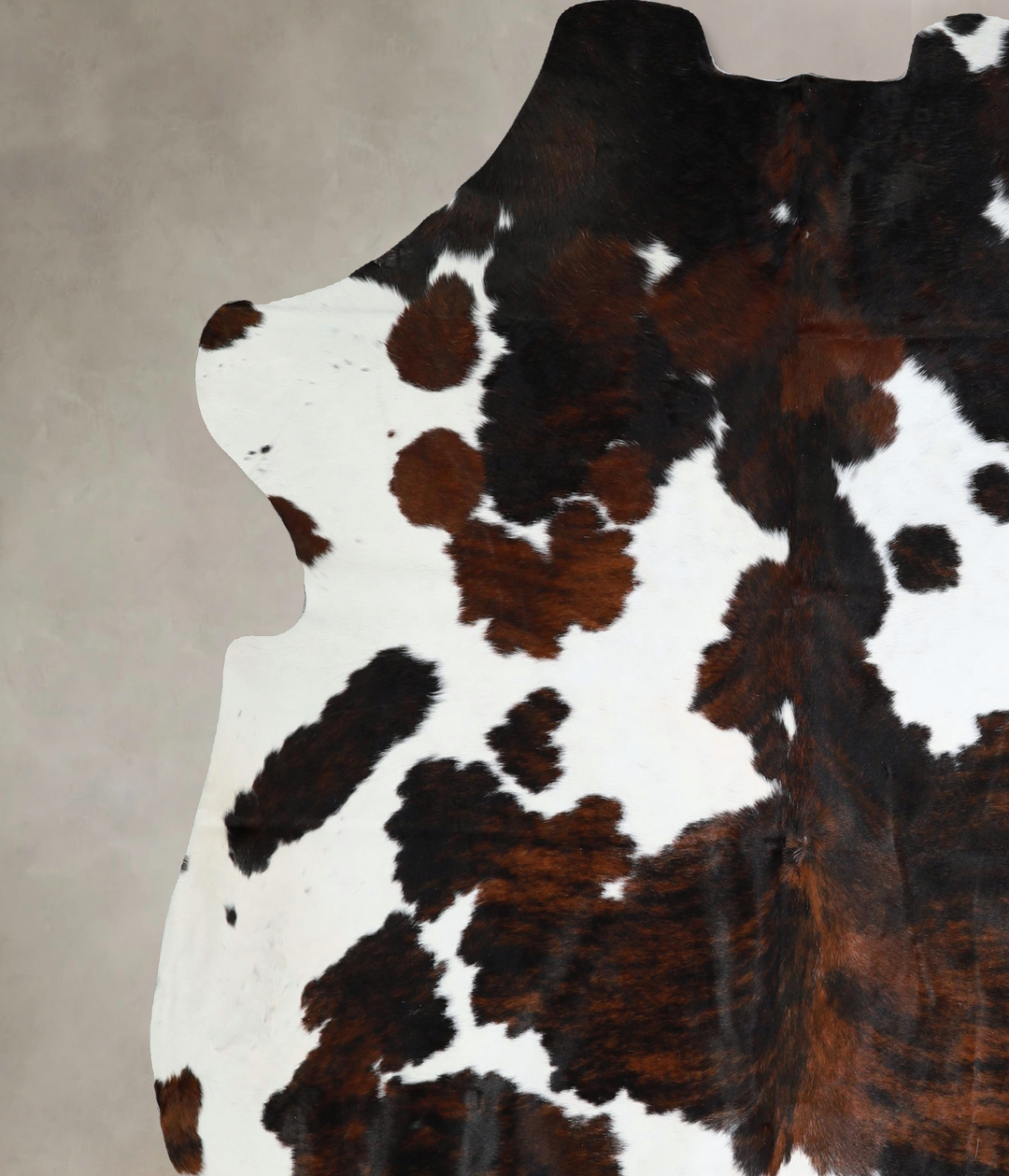 Tricolor XX-Large European Cowhide Rug 7'8"H x 6'11"W #A41898 by Hudso