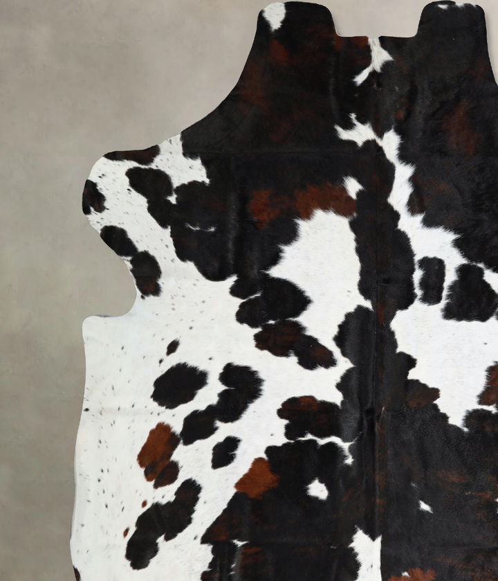 Tricolor XX-Large European Cowhide Rug 7'3"H x 6'11"W #A41900 by Hudson Hides