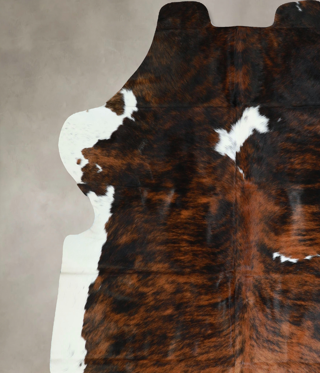 Tricolor X-Large European Cowhide Rug 7'4"H x 6'9"W #A41904 by Hudson 