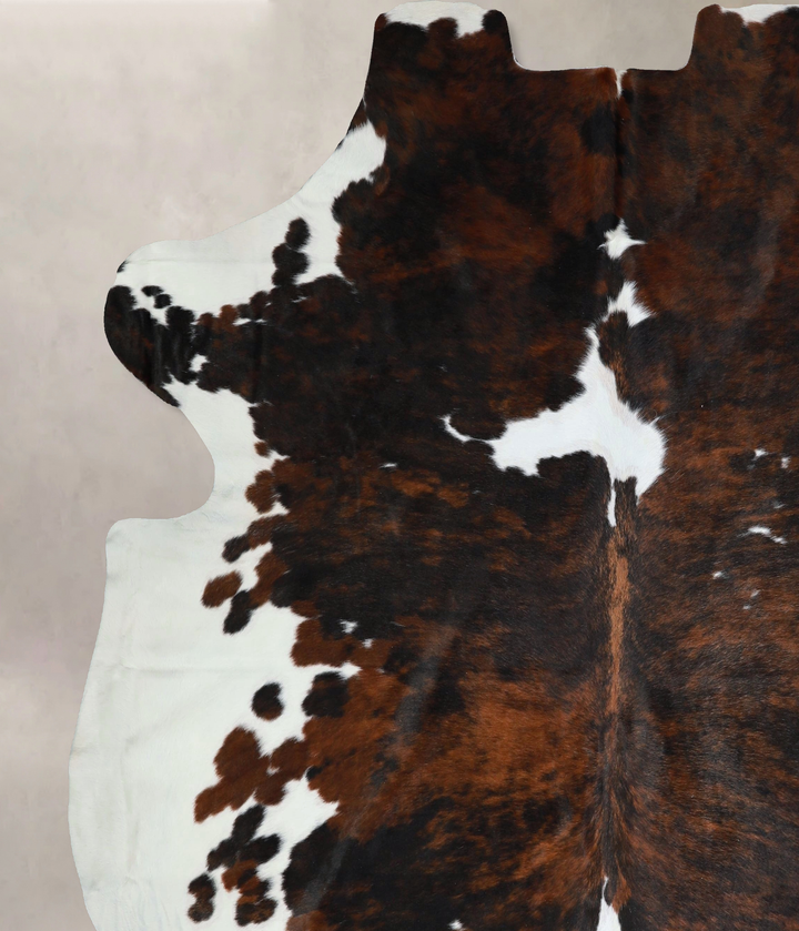 Tricolor XX-Large European Cowhide Rug 7'9"H x 7'1"W #A41913 by Hudson Hides