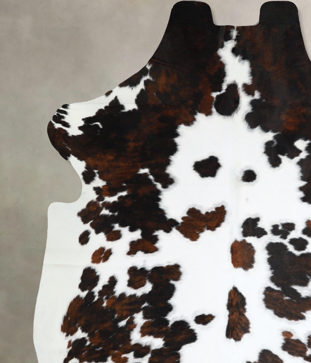Tricolor X-Large European Cowhide Rug 7'4"H x 6'5"W #A41914 by Hudson 