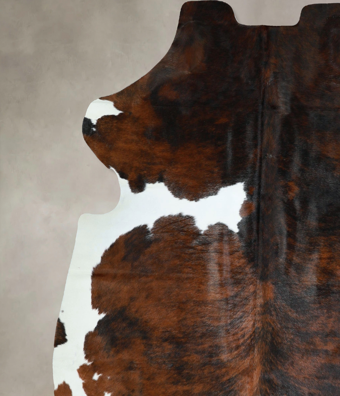 Tricolor X-Large European Cowhide Rug 7'3"H x 6'4"W #A41924 by Hudson 