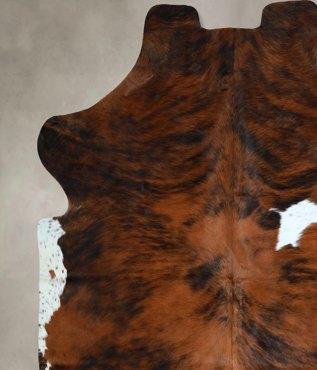 Tricolor X-Large European Cowhide Rug 7'0"H x 6'7"W #A41958 by Hudson 