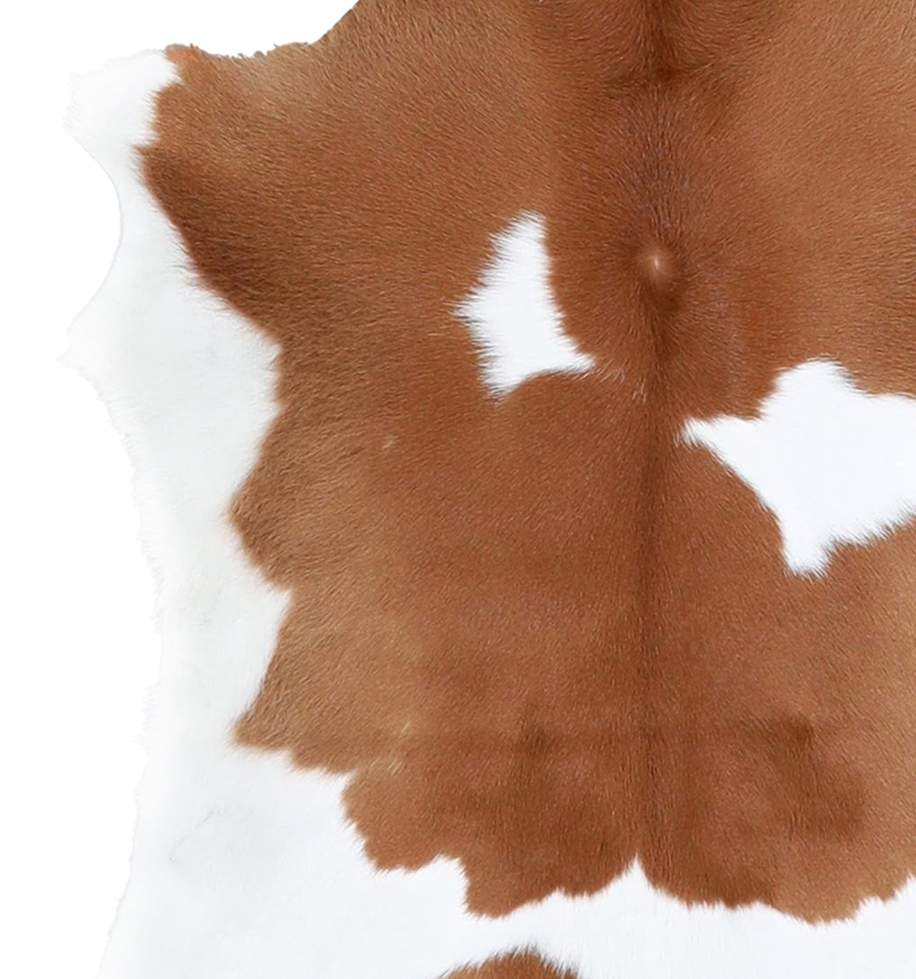 Calfhide Rug #A41969