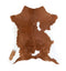 Calfhide Approx 2'x3' #A42023 by Hudson Hides
