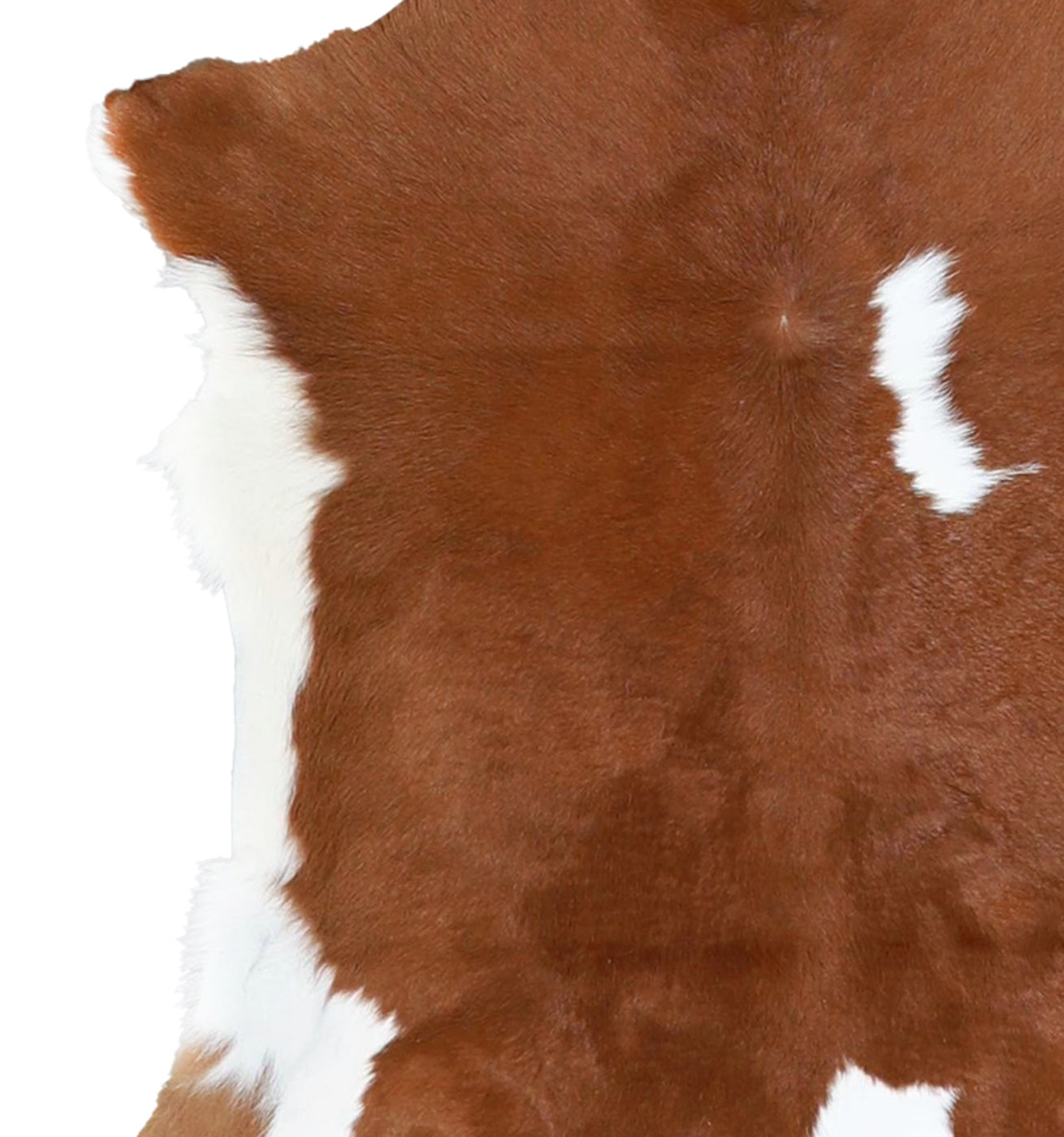 Calfhide Rug #A42023