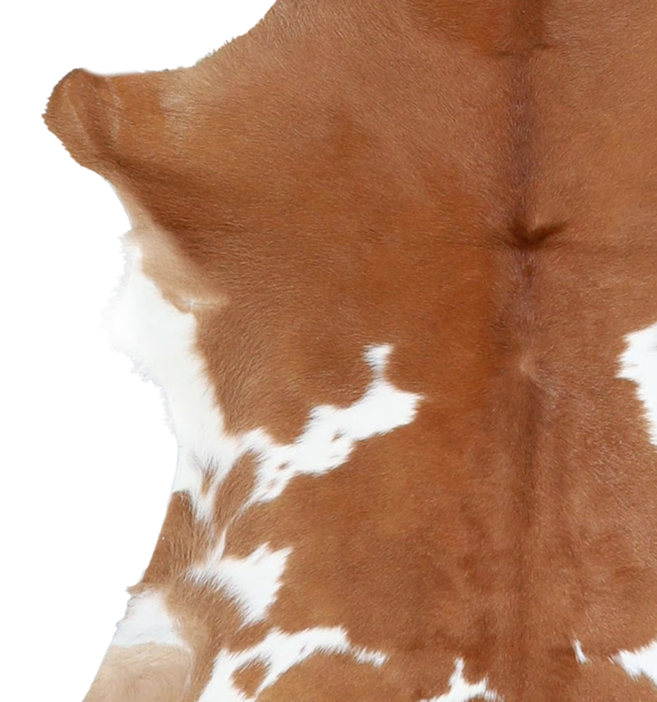 Calfhide Rug #A42024
