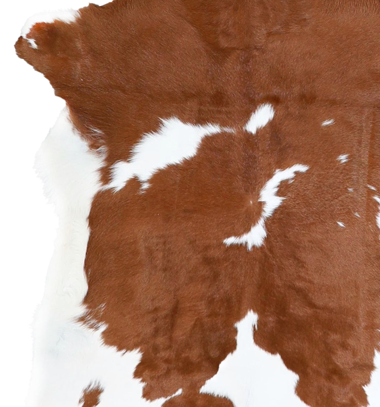 Calfhide Rug #A42030