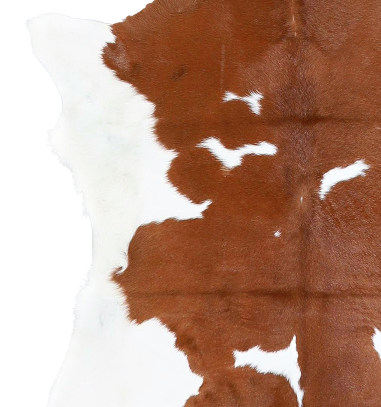 Calfhide Rug #A42031