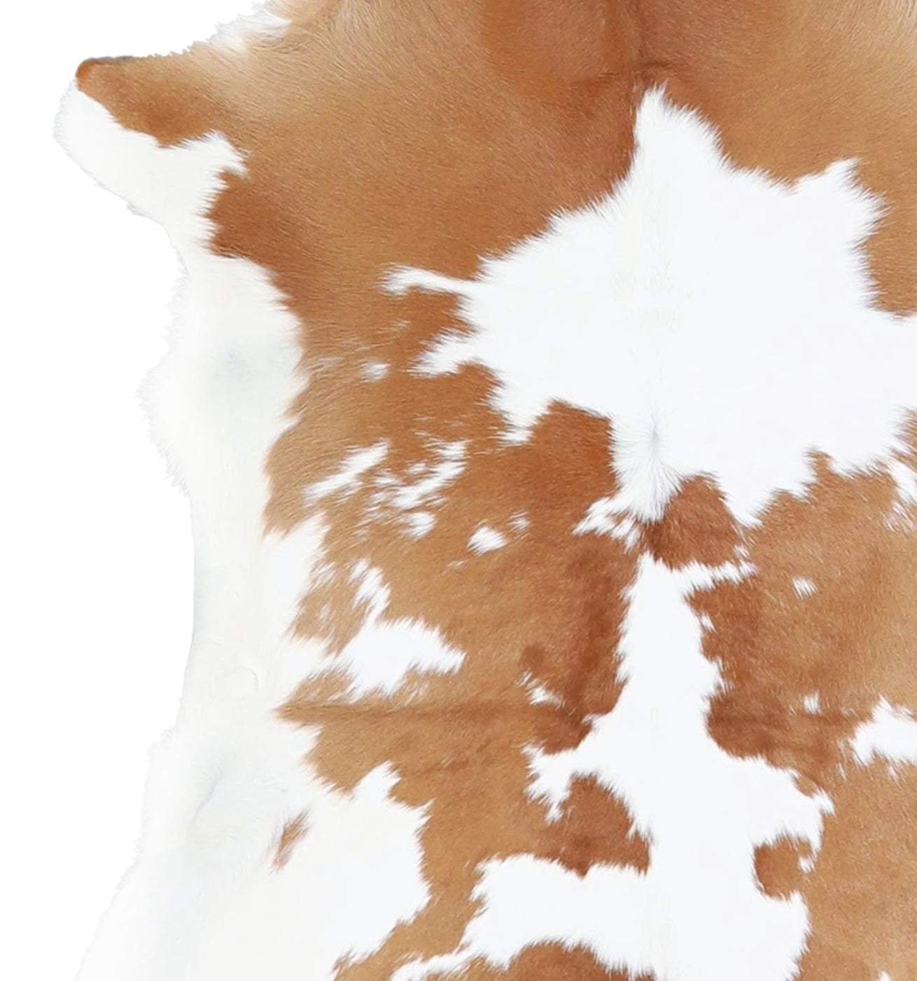 Calfhide Rug #A42032