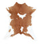 Calfhide Approx 2'x3' #A42033 by Hudson Hides