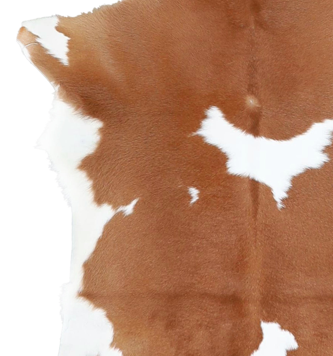Calfhide Rug #A42033