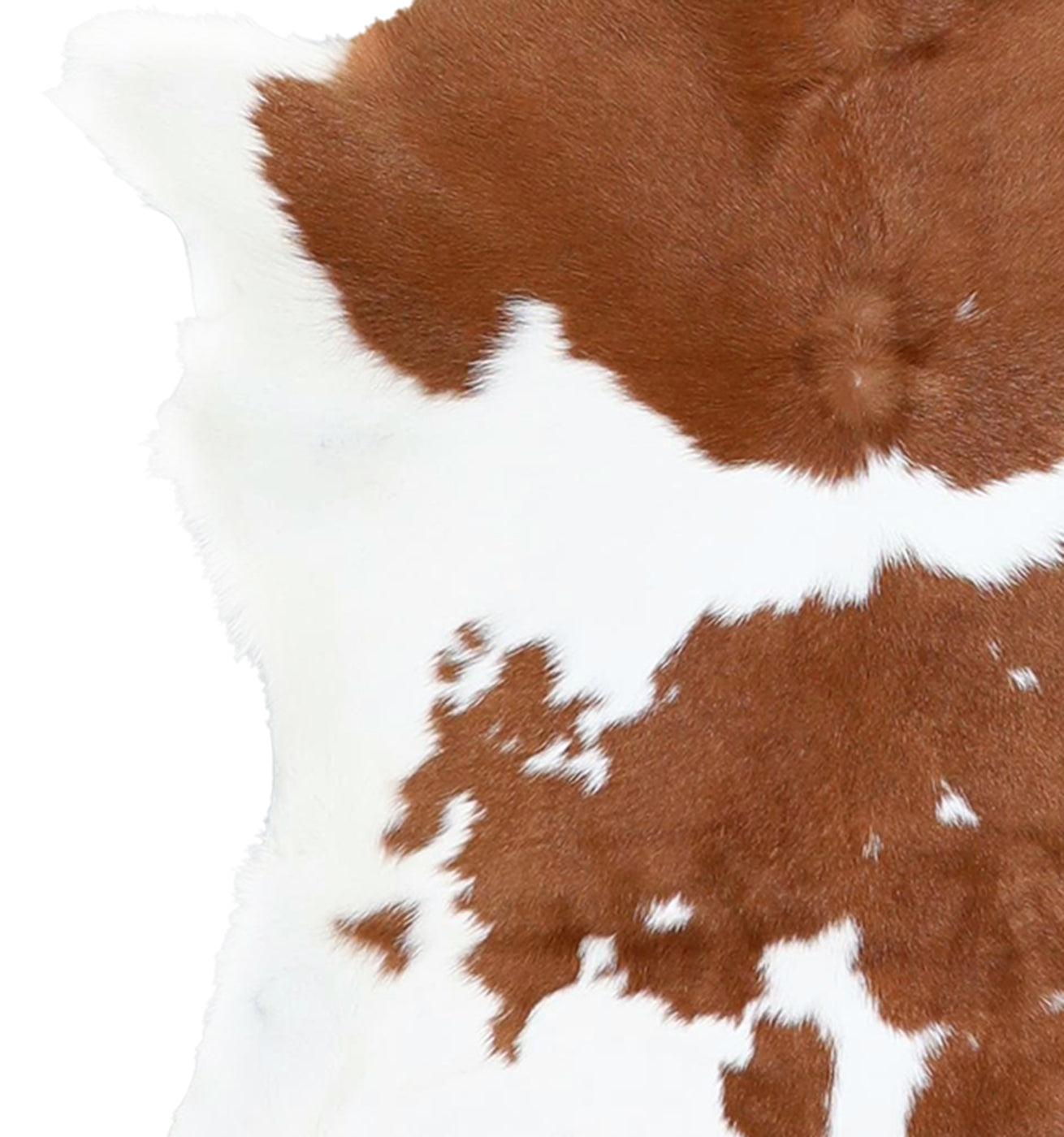 Calfhide Rug #A42034