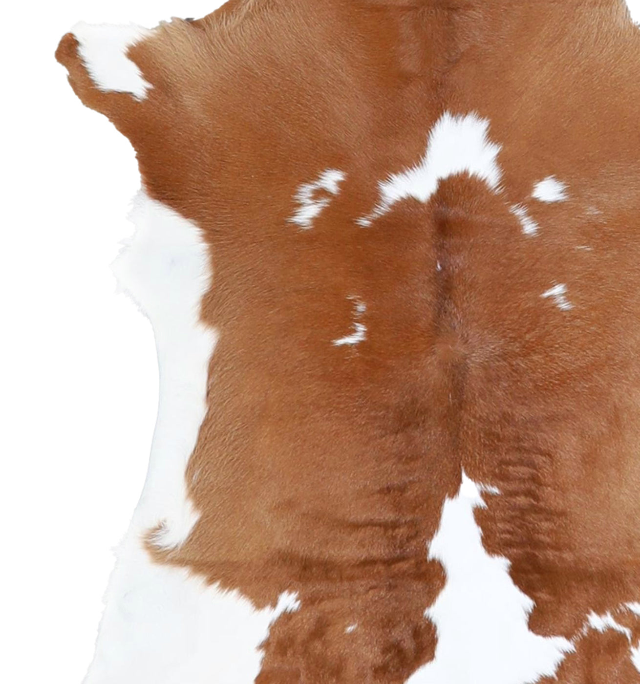 Calfhide Rug #A42036