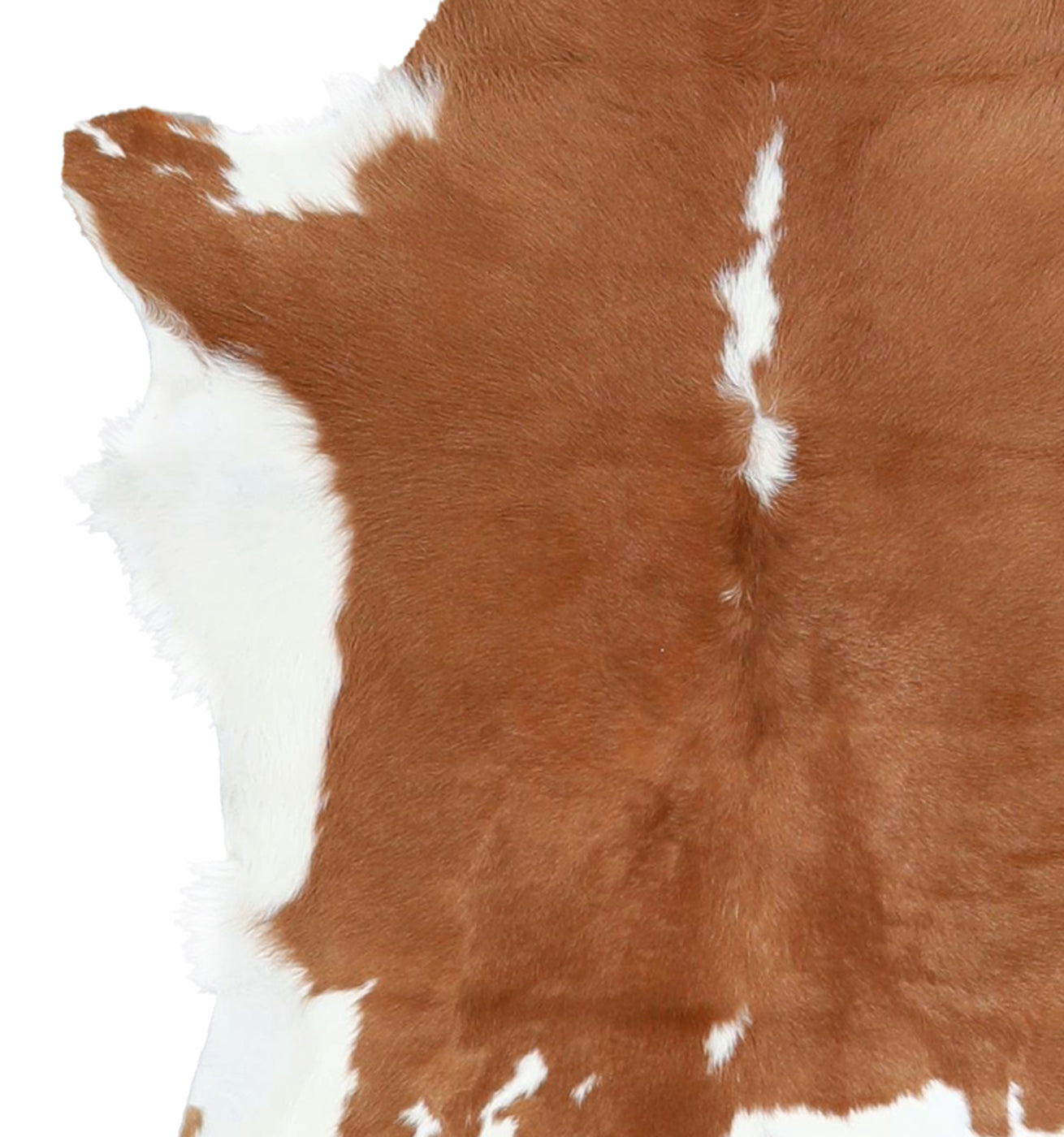 Calfhide Rug #A42037