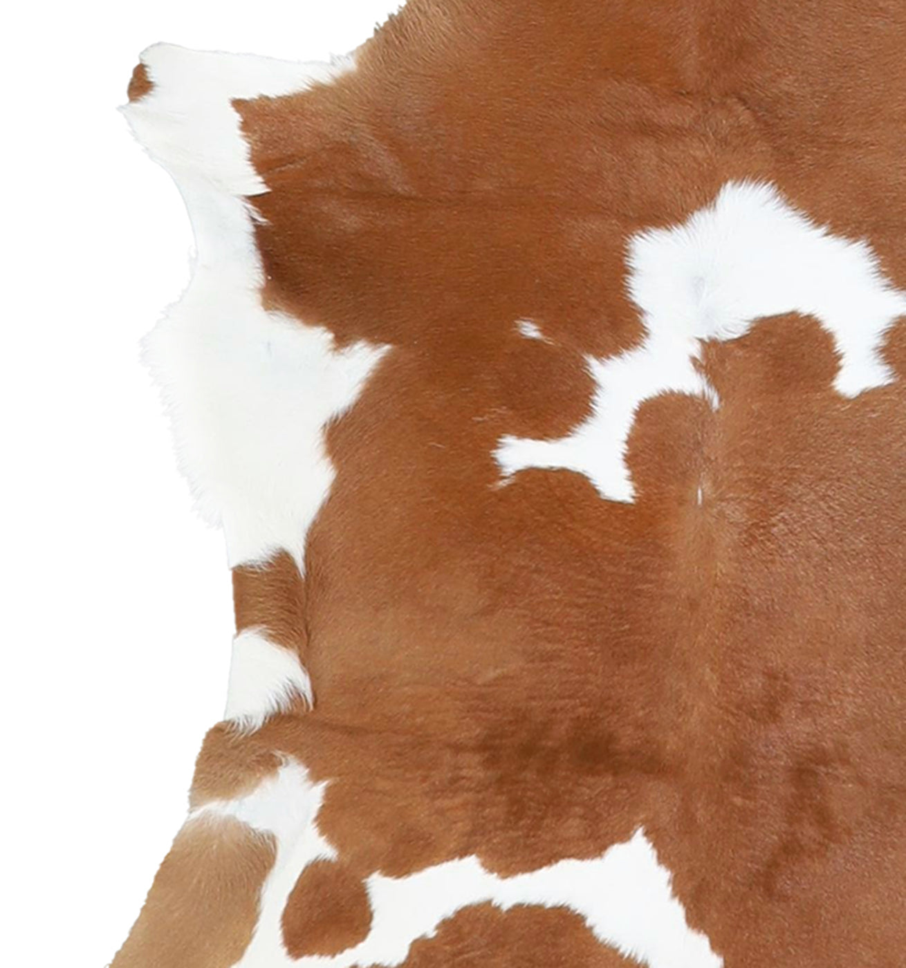 Calfhide Rug #A42040