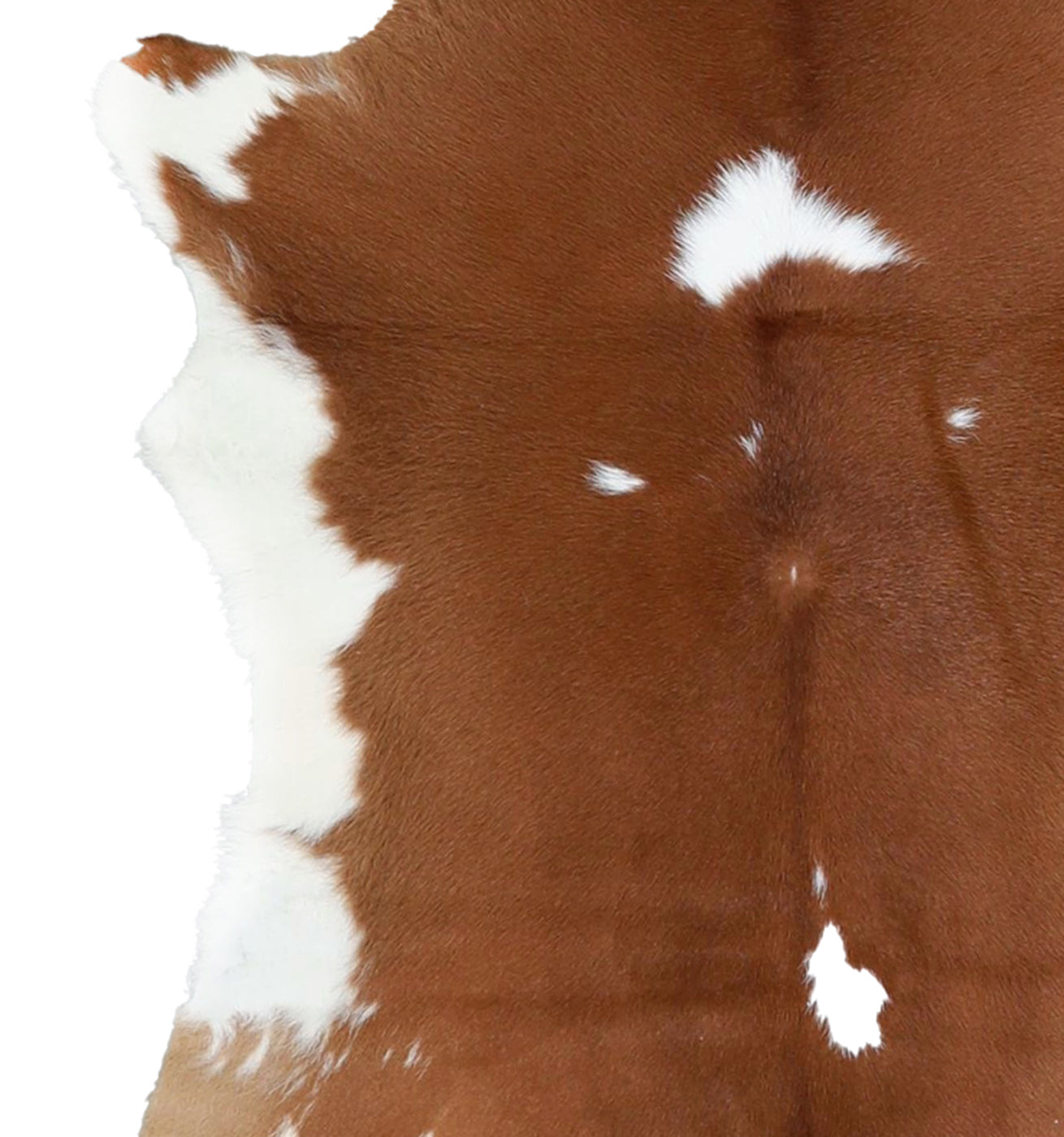 Calfhide Rug #A42051