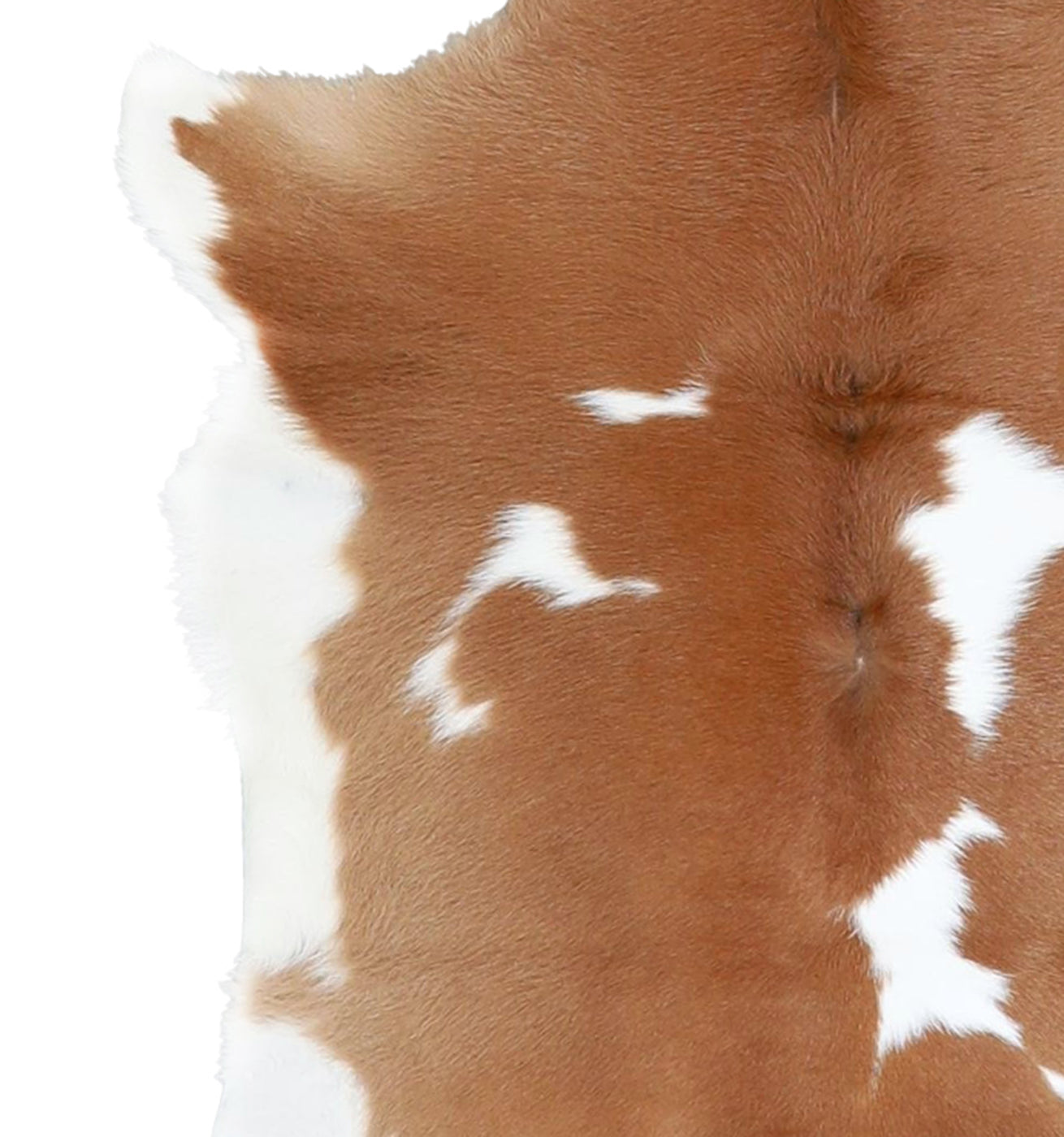 Calfhide Rug #A42052