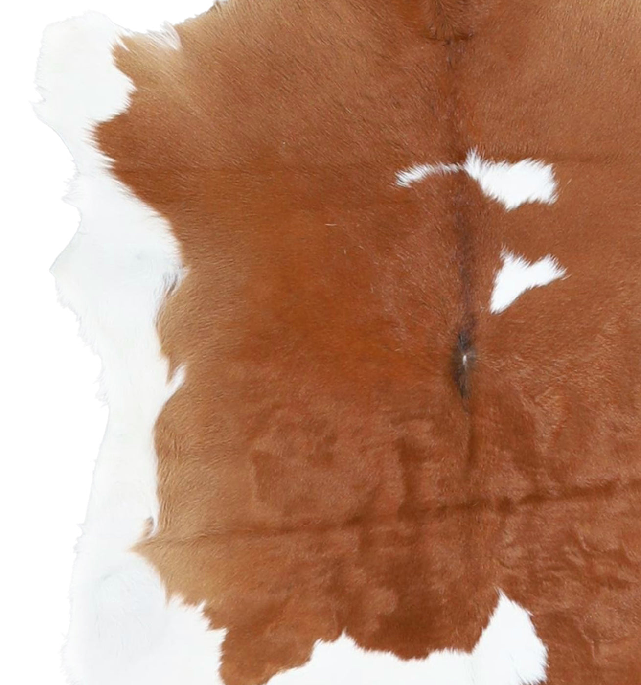 Calfhide Rug #A42064