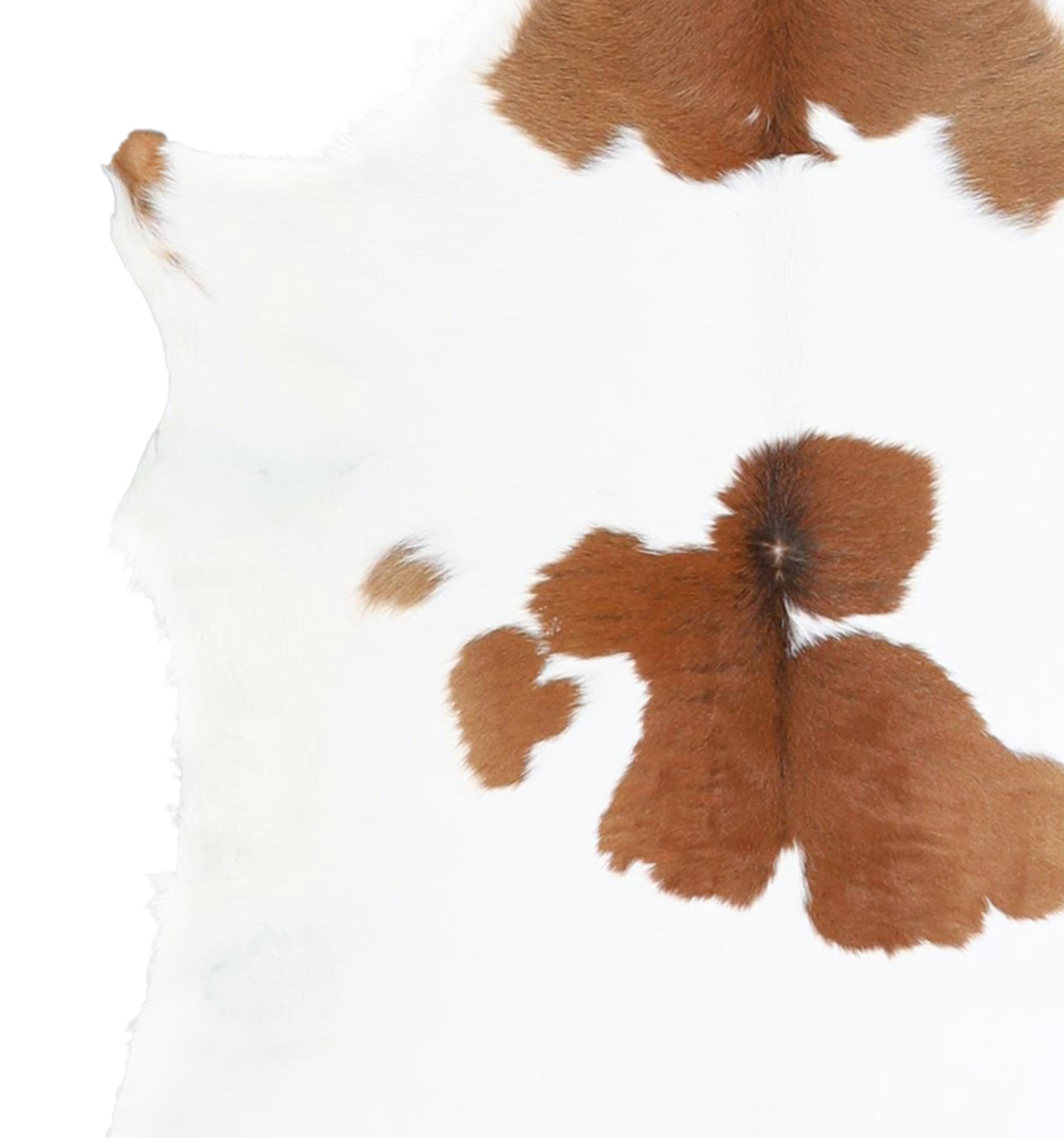 Calfhide Rug #A42071