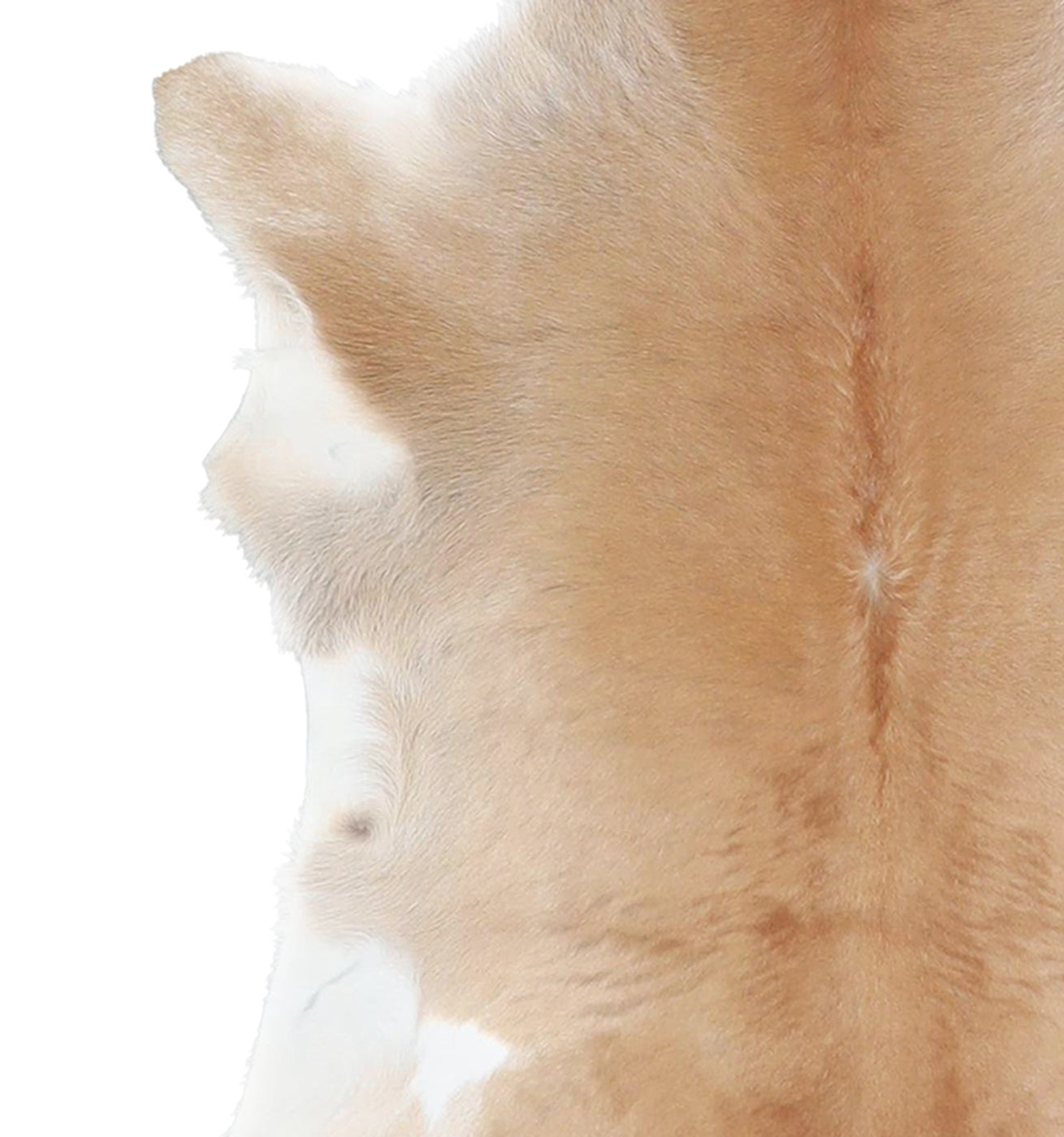 Calfhide Rug #A42076