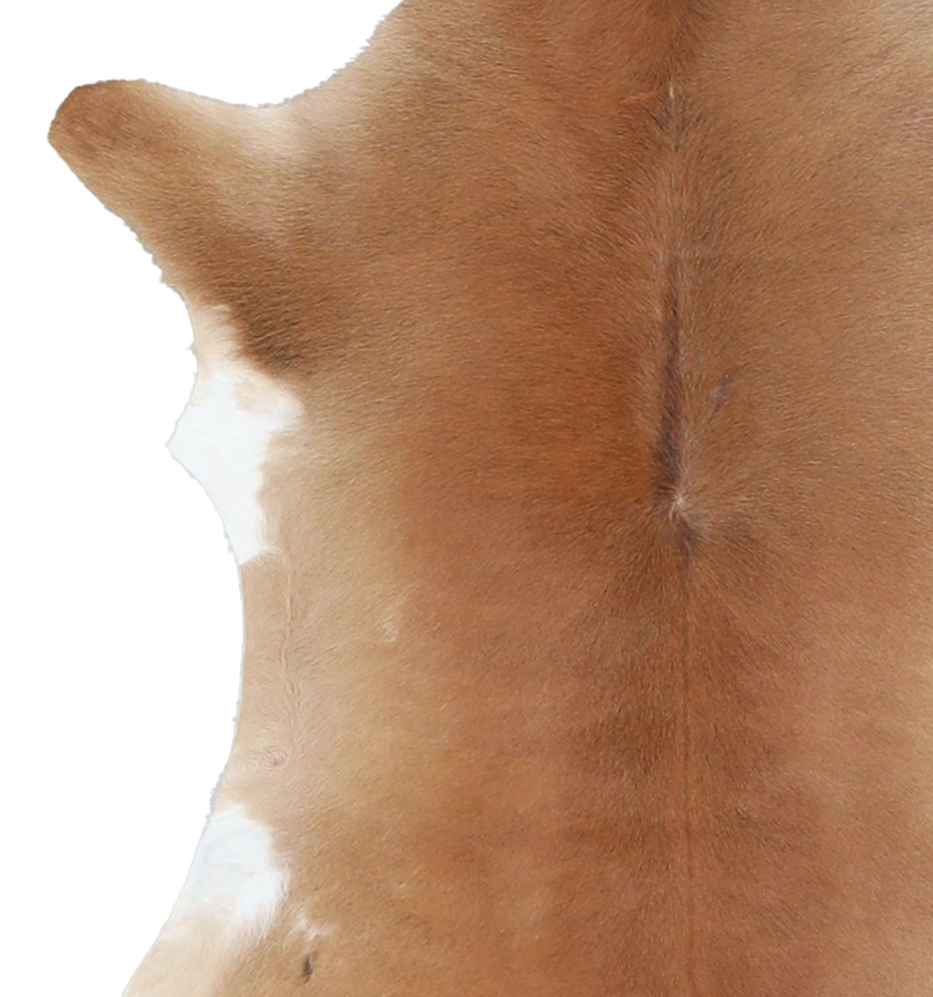 Calfhide Rug #A42088