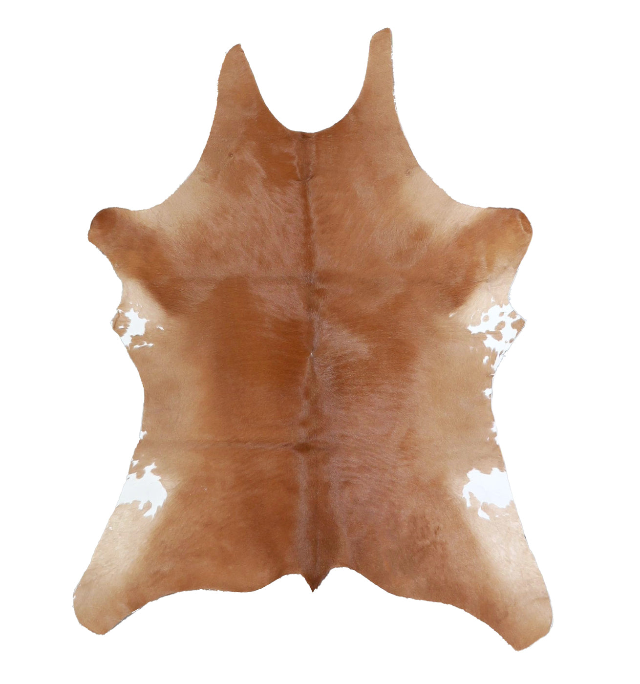 Calfhide Rug #A42104