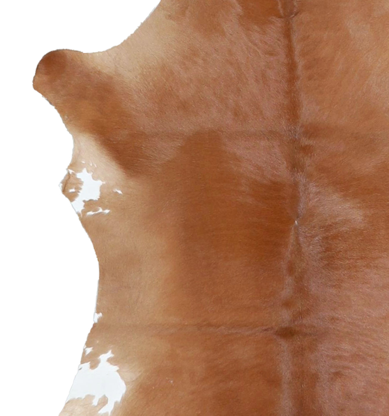 Calfhide Rug #A42104
