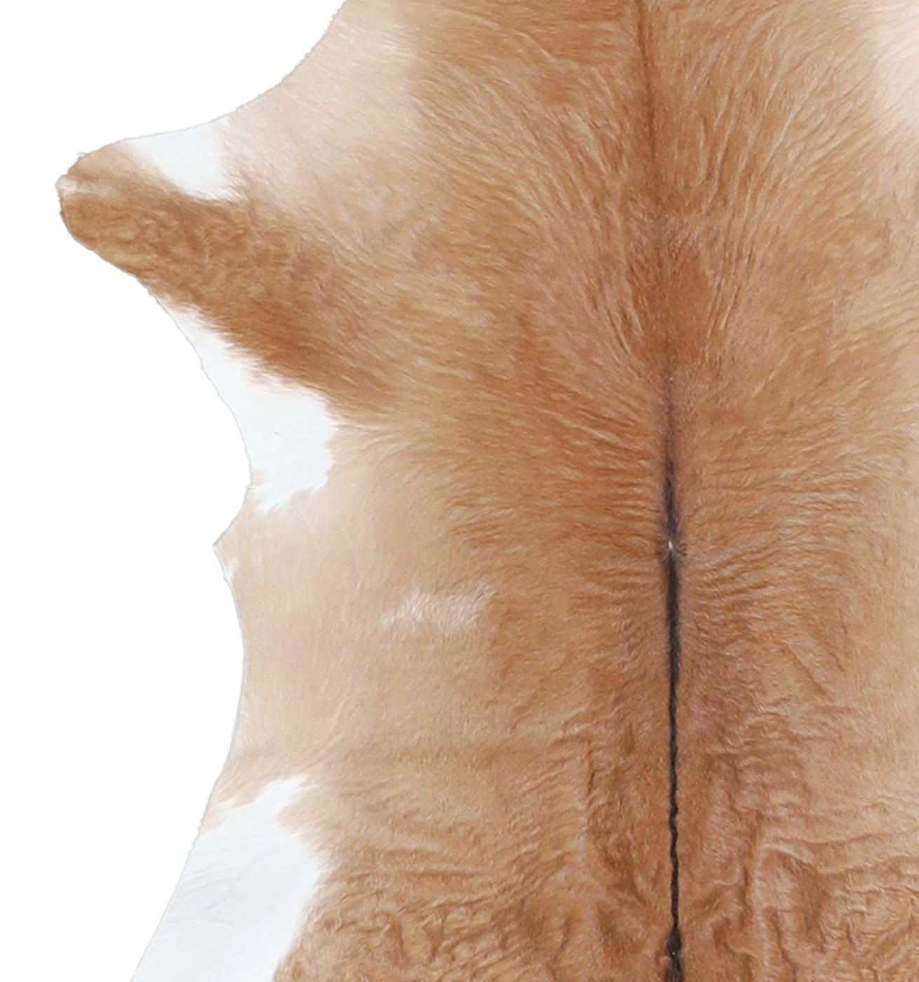 Calfhide Rug #A42108