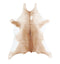 Calfhide Approx 2'x3' #A42112 by Hudson Hides