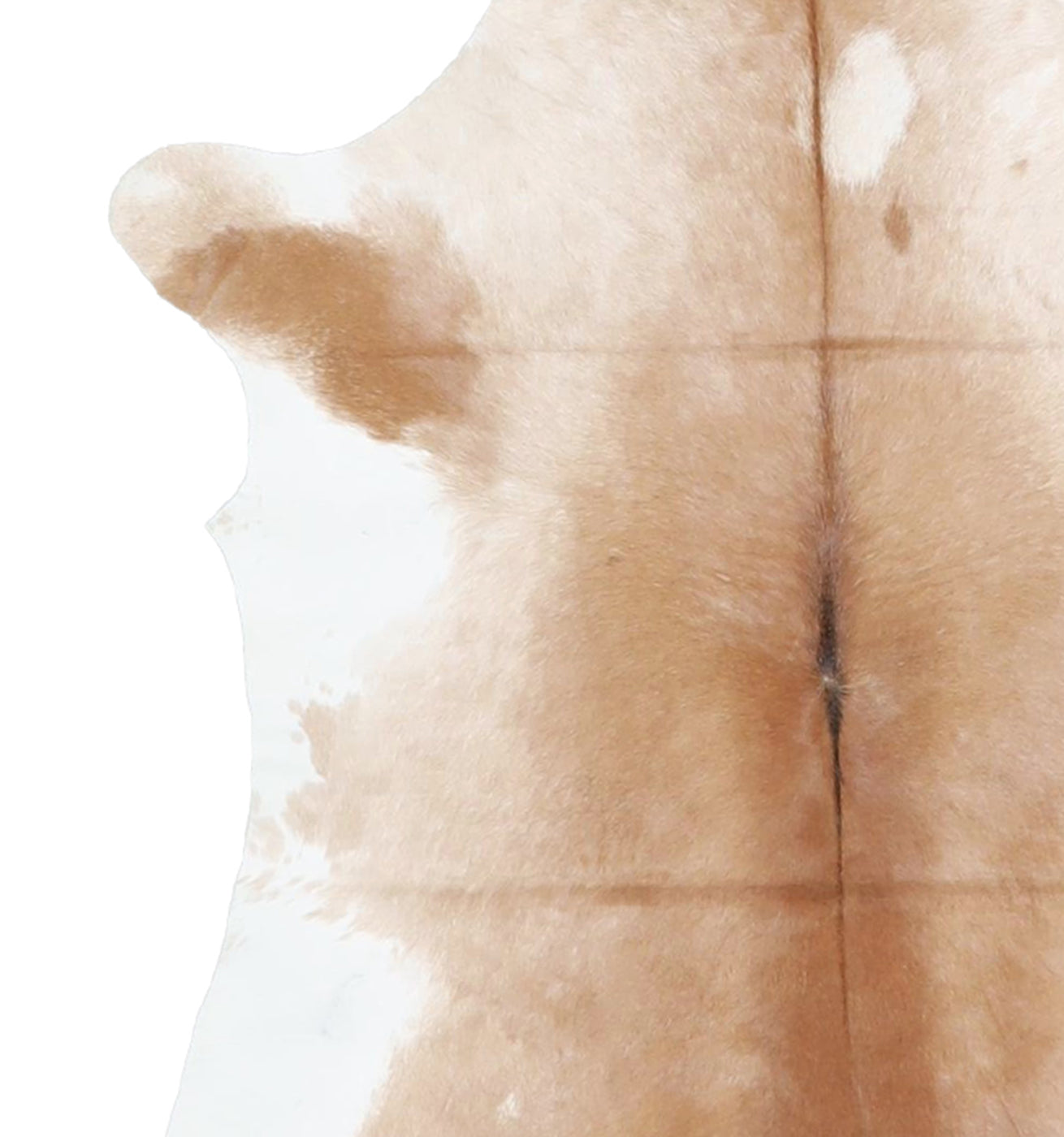 Calfhide Rug #A42112