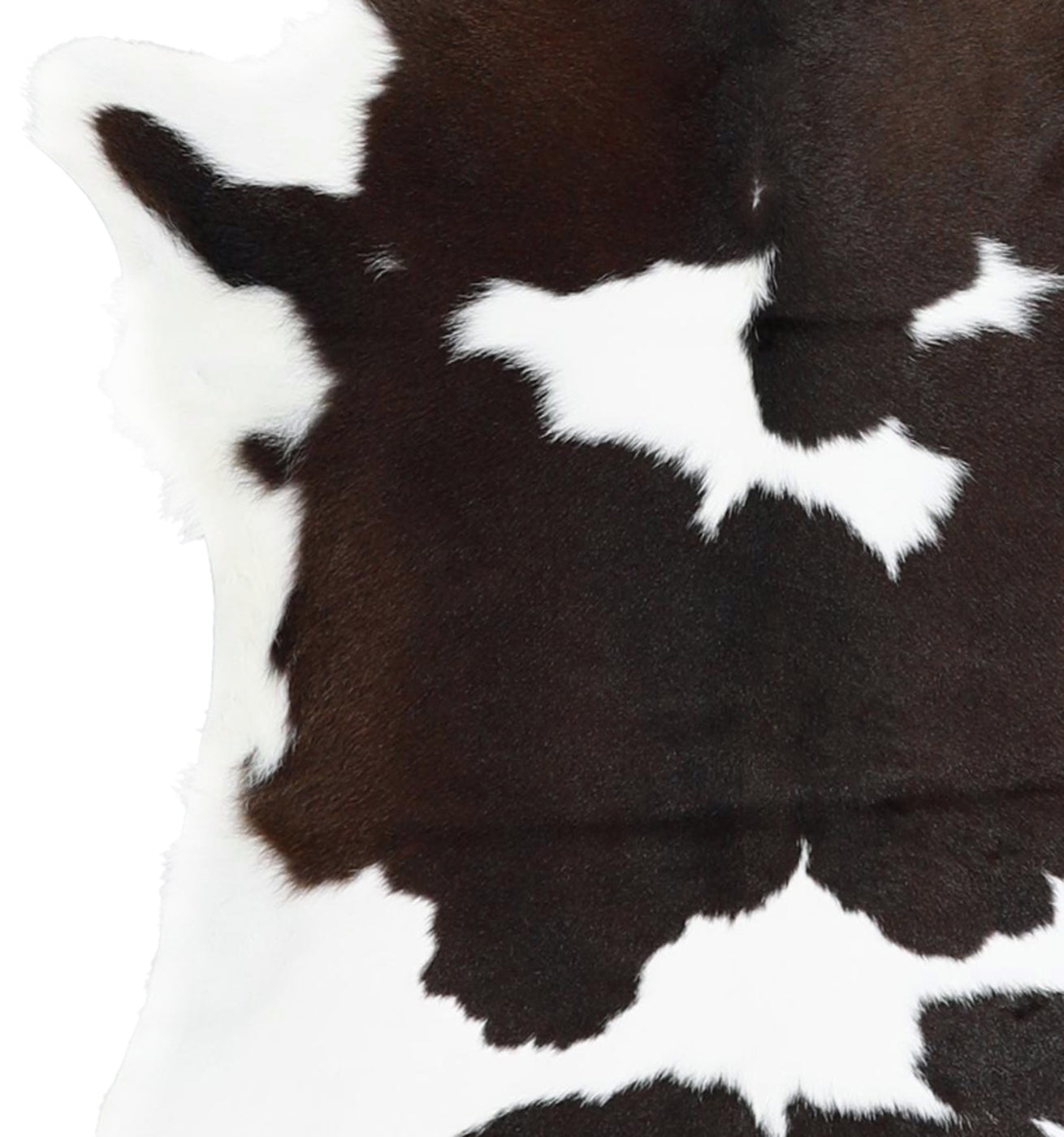 Calfhide Rug #A42124