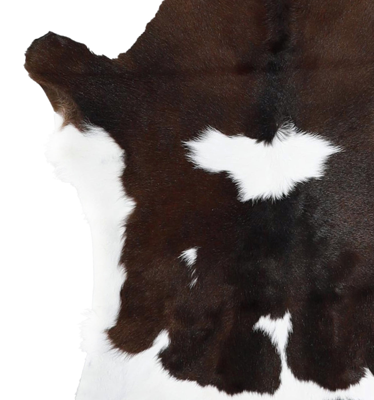 Calfhide Rug #A42127