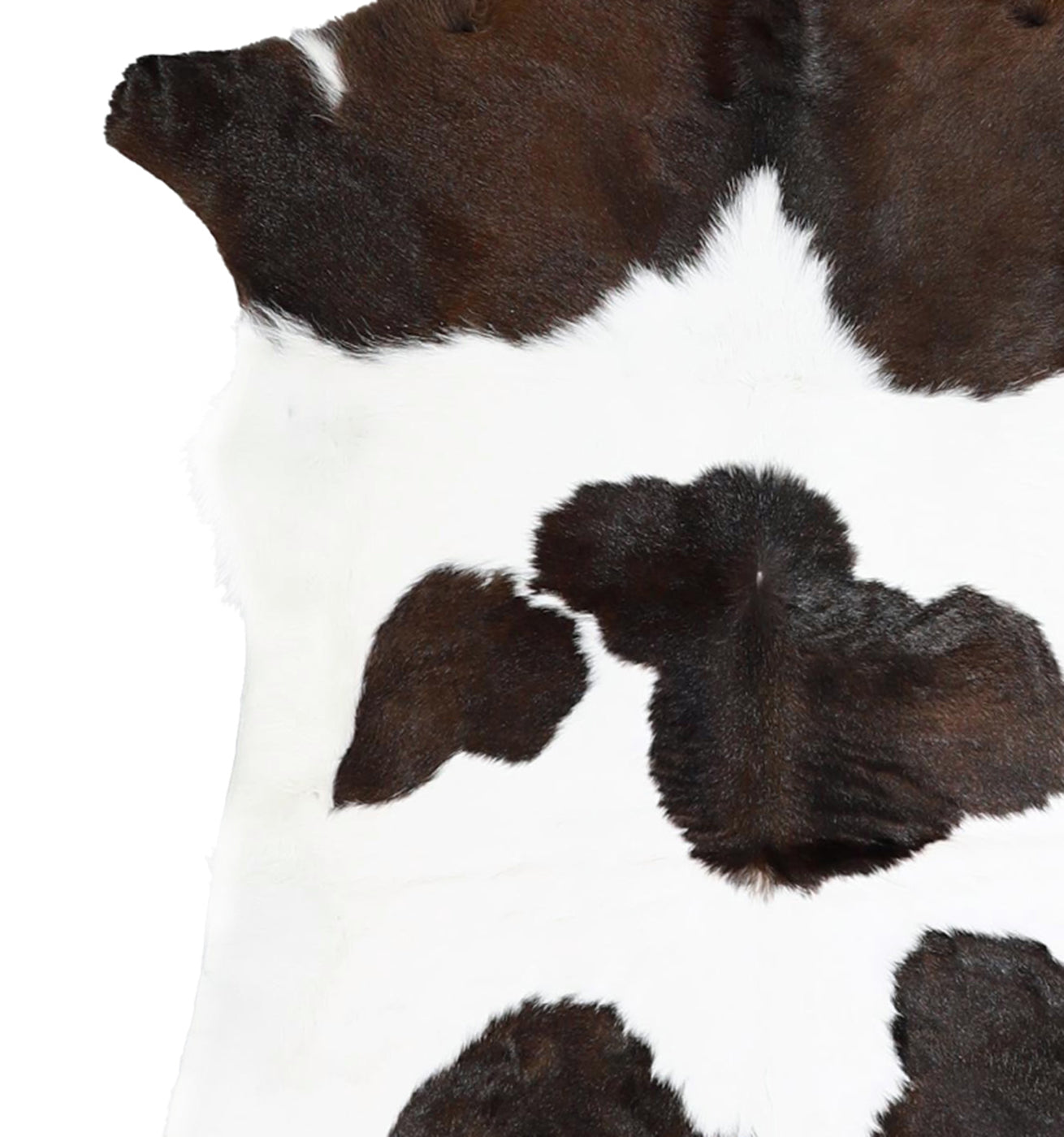 Calfhide Rug #A42151