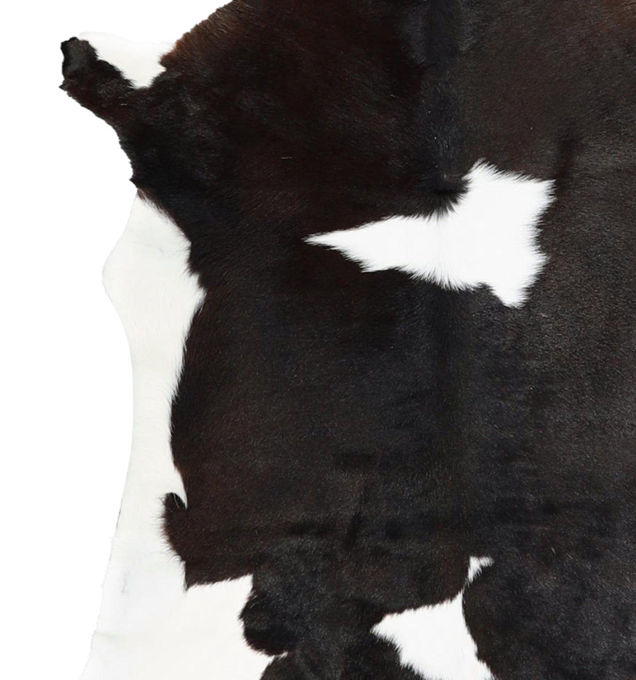 Calfhide Rug #A42157