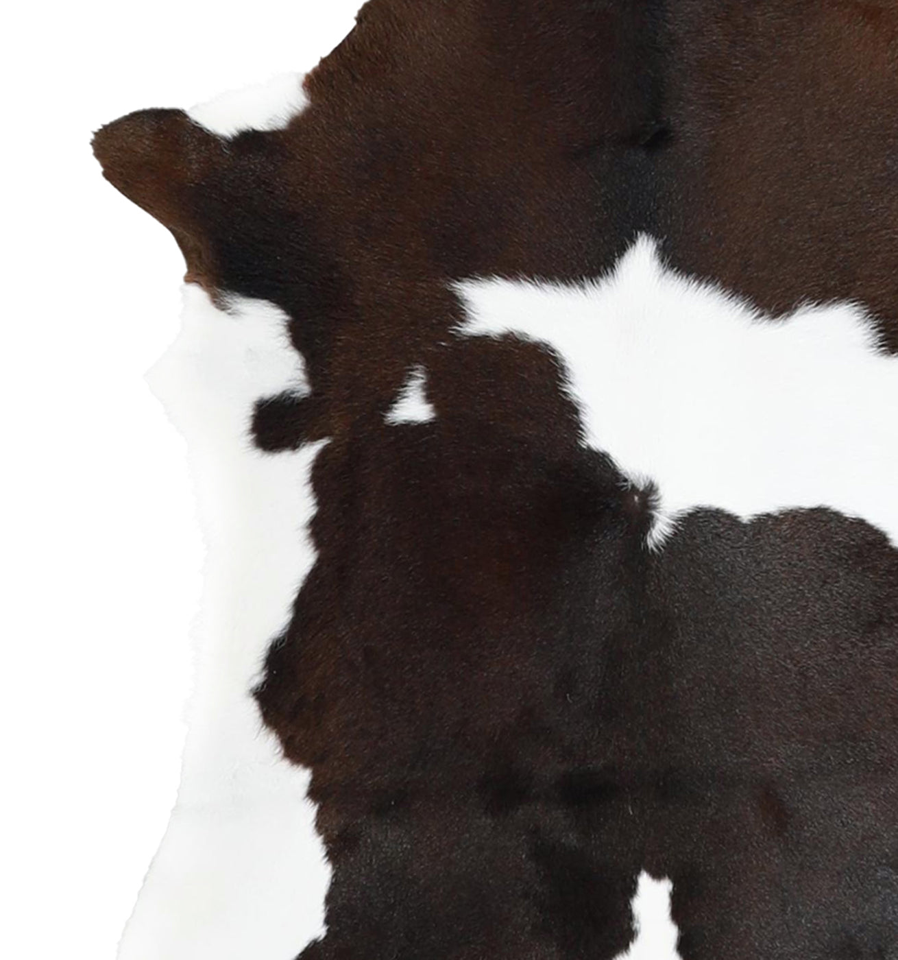 Calfhide Rug #A42164