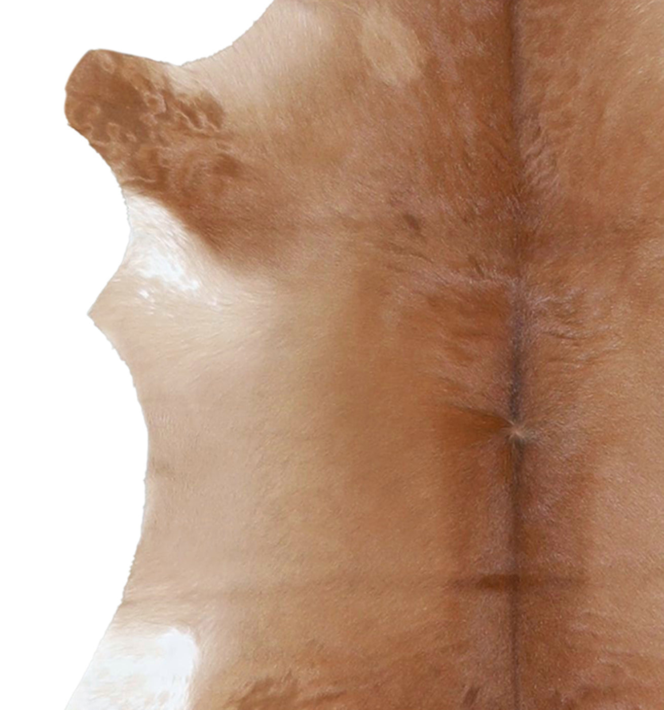 Calfhide Rug #A42183