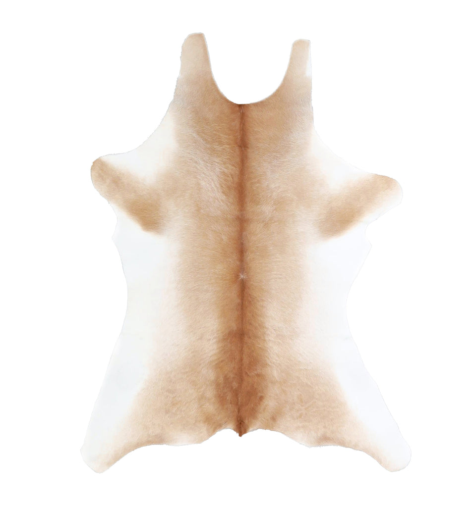 Calfhide Approx 2'x3' #A42191 by Hudson Hides